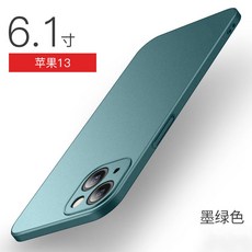 아이폰13카메라그린컬러필름