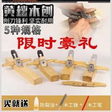 대전가족사진