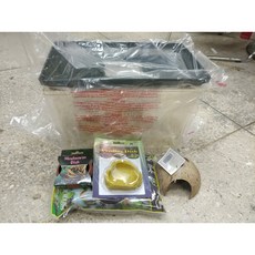 파충류 크로커다일게코 사육세트 - 더쥬, 상세설명 필독을 읽고 동의합니다!