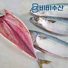 비비수산 제주 손질고등어 중대사이즈, 1개, 중대10미(5손)