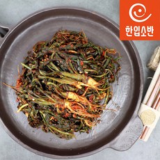 한입소반 직접담근 전라도식 고들빼기김치 500g, 1개