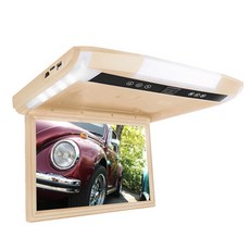 그랜드카니발천장모니터