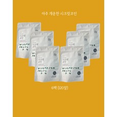 빅마마 시크릿코인 개운한맛 20알 5팩 이혜정 육수 한알