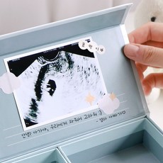 핑크임테기