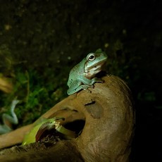 1251d2651b6fb22bda7a04a112e50abc6e3db273489ada0d06568be0acac.jpg
