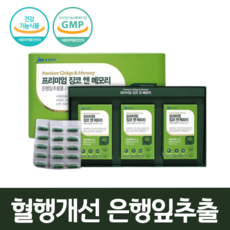 징코민 혈액 순환 혈행 기억력 개선 개선제 혈관 건강 영양제