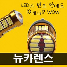 뉴카렌스인젝터