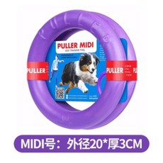 개는훌룡하다 우크라이나 독스포츠 도그풀 도그풀러, F개