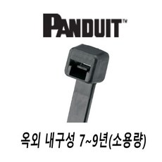 팬듀이트