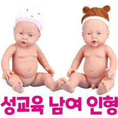 성교육인형