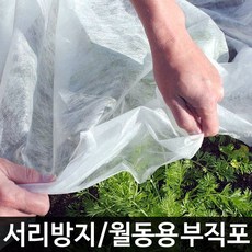 고추가리개 TOP01