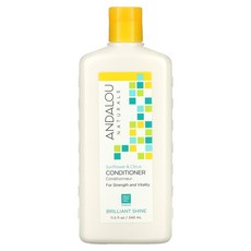 1+1 Andalou Naturals 컨디셔너 힘과 활력 해바라기 시트러스 11.5fl o, 11.5액량 온스