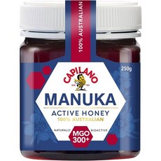카필라노 MGO 300+ 마누카 허니 250g Capilano Honey Manuka Mgo 300+ Jar 250g, 1개