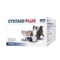 시스테이드플러스리뉴얼전