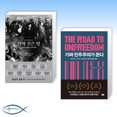 가짜민주주의가온다