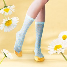 데이지스타킹