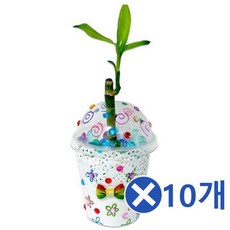 워터볼만들기키트