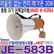 메가폰30w