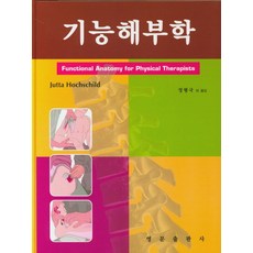 기능해부학ebook