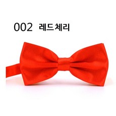 나비 넥타이 2개입 남자 보타이 결혼식 웨딩 돌잔치 파티 가족행사