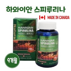 우주식량