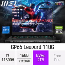 msigp66