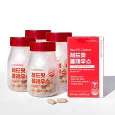 스키니걸즈레몬밤