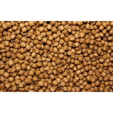 마주리사료 반수생 11.33KG 대용량