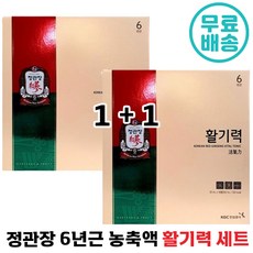 1+1 정관장 활기력 세트 16병 6년근 홍삼 농축액 비타민 면역력 활력 체력 생강 대추 구기자 오미자 명품 정품 홍삼 진액 앰플 부모님 어버이 명절 설 가족 선물 홈쇼핑 전관장, 32개, 320ml