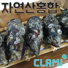 통영서호시장자연산홍합