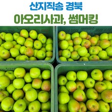 산지직송 경북 아오리 썸머킹 사과 중소 중 5kg 10kg 푸른사과 청사과, 아오리_중소