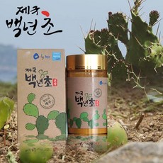 백세시대 부모님 건강을 위한 제국백년초 분말 유기농백년초줄기 사용, 70g, 1개