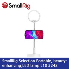 스몰리그l10