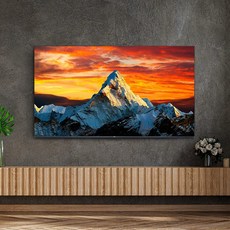 tcl50인치