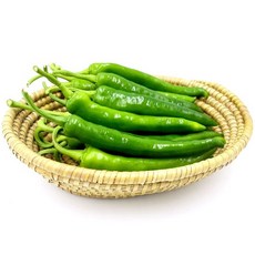 산정마을 국내산 오이고추 1kg, 1개
