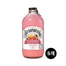 분다버그 핑크자몽 375ml, 5개