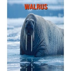 Walrus: Fun Facts & Cool Pictures Paperback, Independently Published, English, 9798563082748