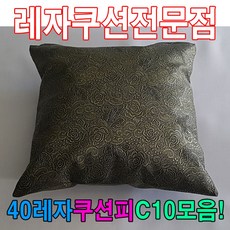 남다름 40레자쿠션피C10모음레자커버레자피쿠션피커버, S5050:현재상품선택