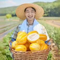 [농가직송] 성주참외 고당도 꿀 참외 로얄과 대과 korean melon, 1박스, 아삭시원 대과(3kg)