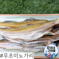 [서울 중부시장_순이네 건어물] 깨끗하게 잘마른 무조미노가리 / 국내가공 / 을지로 노가리 / 중부시장 도매 / 건어물, 500g, 1개