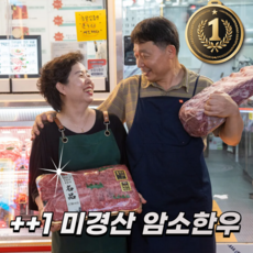 [마장동 당일작업] ++1 NO.9 프리미엄 암소 한우 선물세트, 1개