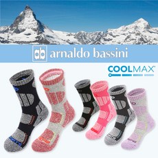 아놀드바시니양말