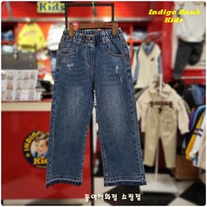 다이치주니어와이드