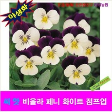beb88f3b8890098e6512f99df3b7532dc340dc37bafee5d6ba20375ac25f.png