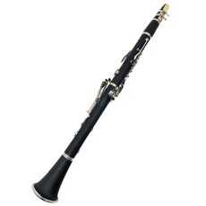  오보에 연습용 취미 학생용 악기 가성비, 오보에 패키지 