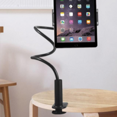 이월드수국축제