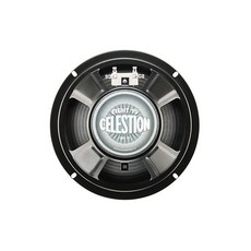 스키에이트대여