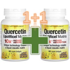 Natural Factors Quercetin LipoMicel Matrix 네추럴팩터스 퀘르세틴 리포미셀 매트릭스 60 소프트젤 X 2팩