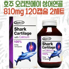 상어연골면세점
