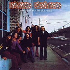 [LP] Lynyrd Skynyrd - Pronounced Leh-nerd Skin-nerd 레너드 스키너드 데뷔 앨범 [LP]